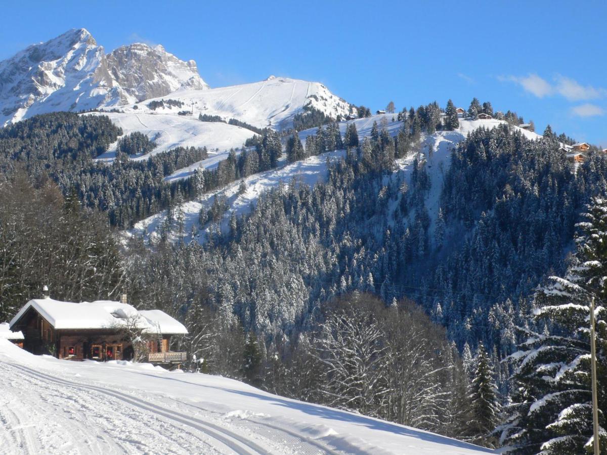 Studio La Berciere Villars-sur-Ollon Luaran gambar